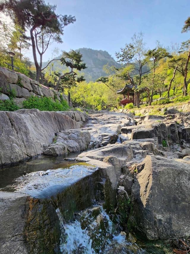 A Summer Wellness Journey Through Seochon